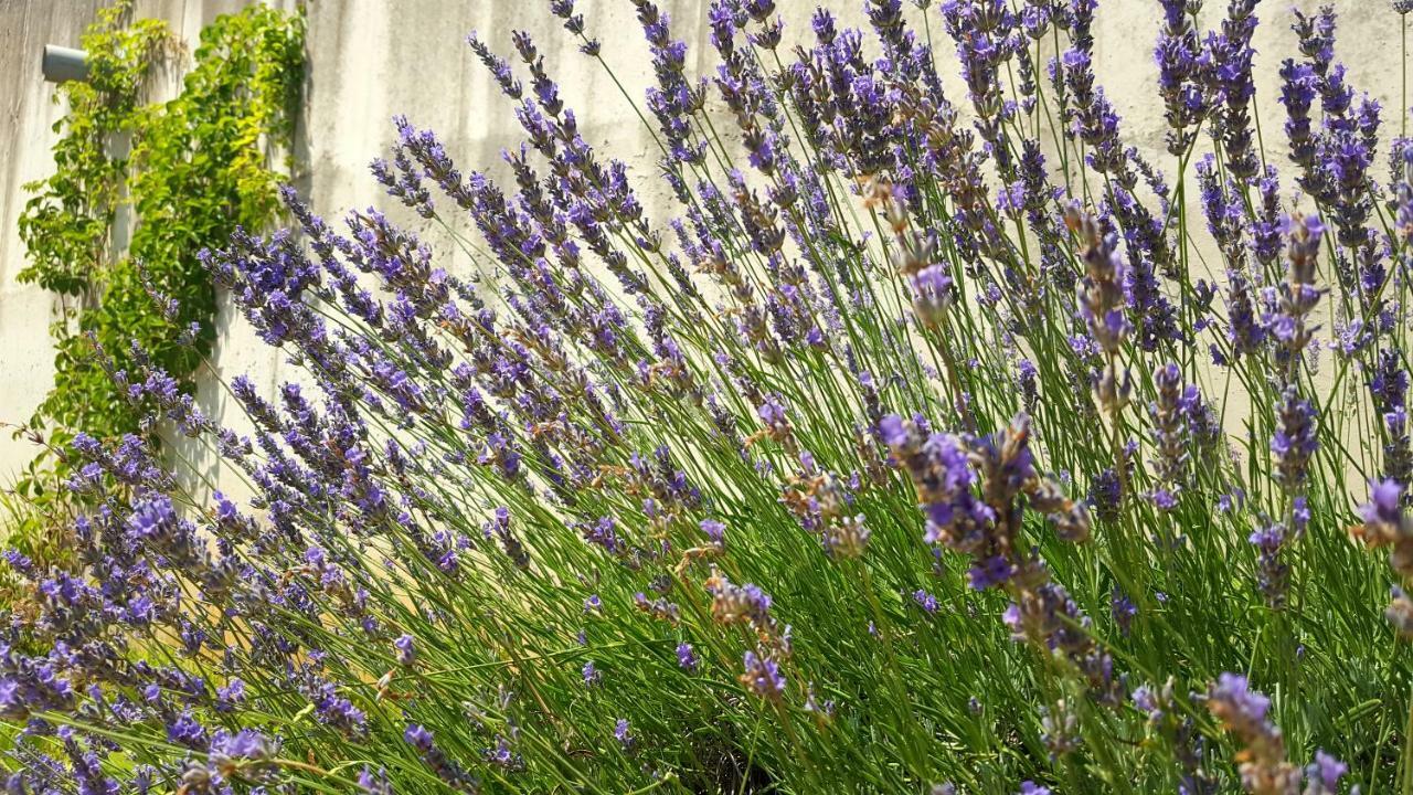 오파티아 Josephine'S Garden 아파트 외부 사진